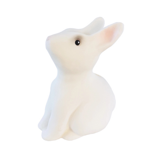 Rabbit Savings Bank