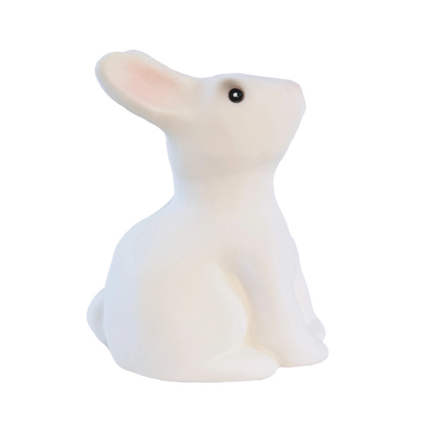 Rabbit Savings Bank