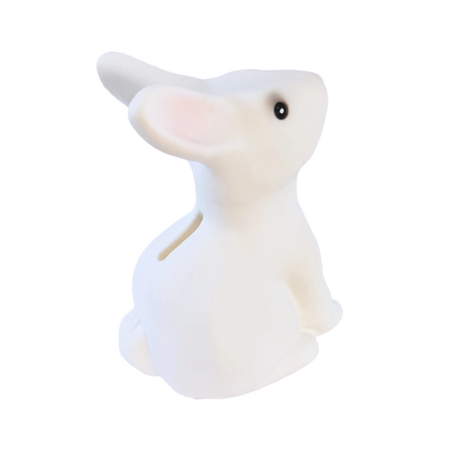 Rabbit Savings Bank