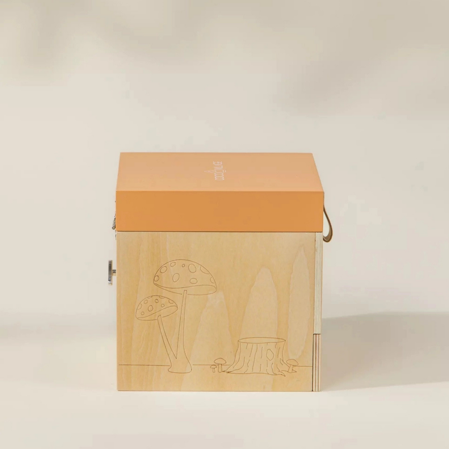 Wooden Musical Souvenir Box - Nature